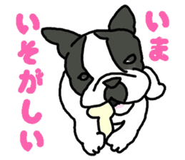 Tono is French Bulldog. sticker #11124801