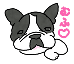 Tono is French Bulldog. sticker #11124803