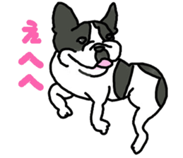 Tono is French Bulldog. sticker #11124804