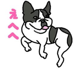 Tono is French Bulldog. sticker #11124804