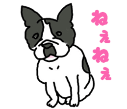 Tono is French Bulldog. sticker #11124806