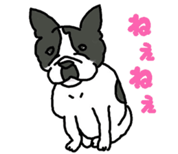 Tono is French Bulldog. sticker #11124806