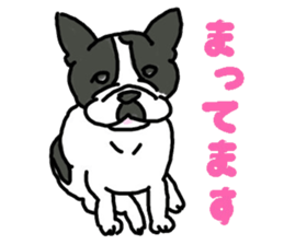 Tono is French Bulldog. sticker #11124807