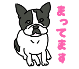 Tono is French Bulldog. sticker #11124807