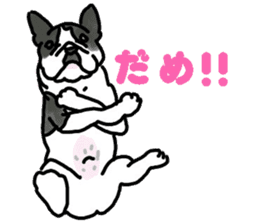 Tono is French Bulldog. sticker #11124810
