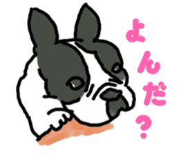 Tono is French Bulldog. sticker #11124811