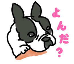 Tono is French Bulldog. sticker #11124811