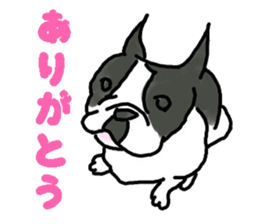 Tono is French Bulldog. sticker #11124812