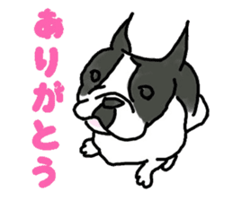 Tono is French Bulldog. sticker #11124812