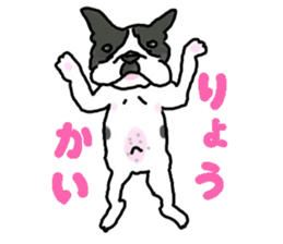 Tono is French Bulldog. sticker #11124815