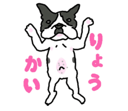 Tono is French Bulldog. sticker #11124815
