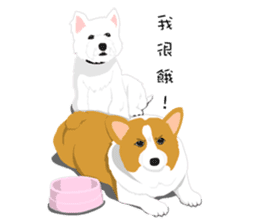 Corgi and West Highland White Terrier sticker #11125460