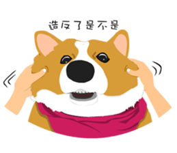 Corgi and West Highland White Terrier sticker #11125461