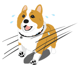 Corgi and West Highland White Terrier sticker #11125469