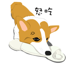 Corgi and West Highland White Terrier sticker #11125470
