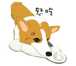 Corgi and West Highland White Terrier sticker #11125470