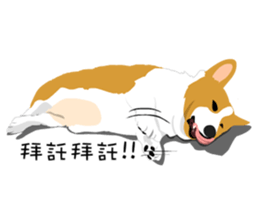 Corgi and West Highland White Terrier sticker #11125471