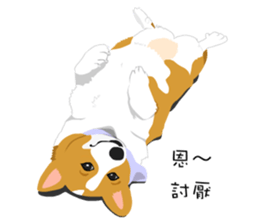 Corgi and West Highland White Terrier sticker #11125472