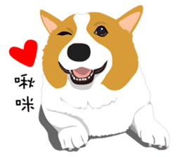 Corgi and West Highland White Terrier sticker #11125477