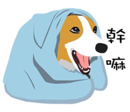 Corgi and West Highland White Terrier sticker #11125484