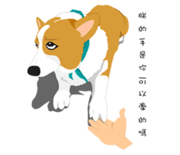 Corgi and West Highland White Terrier sticker #11125485