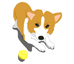 Corgi and West Highland White Terrier sticker #11125491