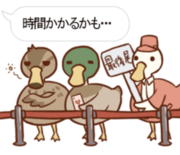 Maybe Duck sticker #11126581