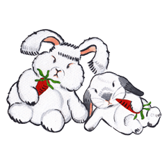 Pong and Fong Rabbit