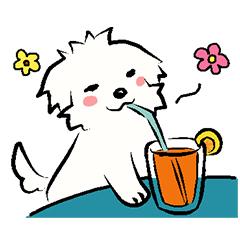 Happy Cotonese 2 (English Ver.)