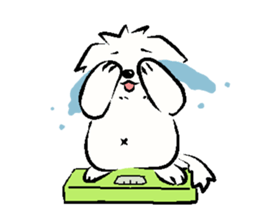 Happy Cotonese 2 (English Ver.) sticker #11128271