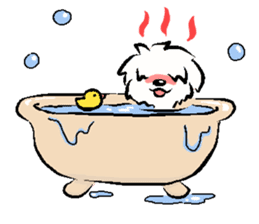 Happy Cotonese 2 (English Ver.) sticker #11128284