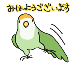 my lovery birds sticker #11130336