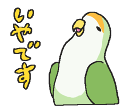 my lovery birds sticker #11130344