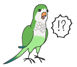 my lovery birds sticker #11130359