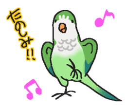 my lovery birds sticker #11130360