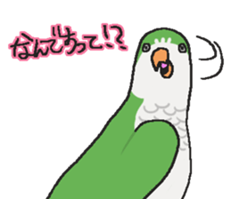 my lovery birds sticker #11130363