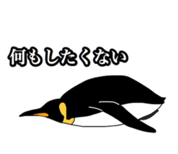 Penguins!!!! sticker #11131902
