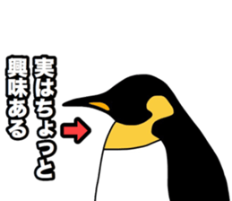 Penguins!!!! sticker #11131917