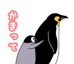 Penguins!!!! sticker #11131926