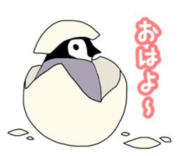 Penguins!!!! sticker #11131931