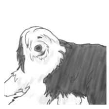 The various dogs sticker #11133346