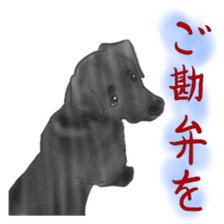 The various dogs sticker #11133347