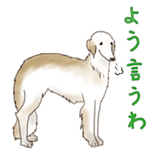 The various dogs sticker #11133350