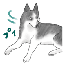 The various dogs sticker #11133352