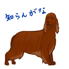 The various dogs sticker #11133357