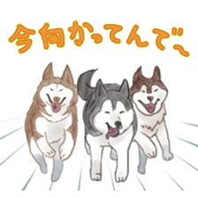 The various dogs sticker #11133362