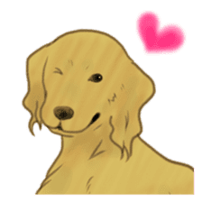 The various dogs sticker #11133366