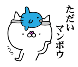 The cat which I want to use sticker #11134721