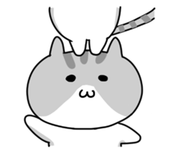 Cute Cat succession sticker sticker #11137953