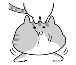 Cute Cat succession sticker sticker #11137954